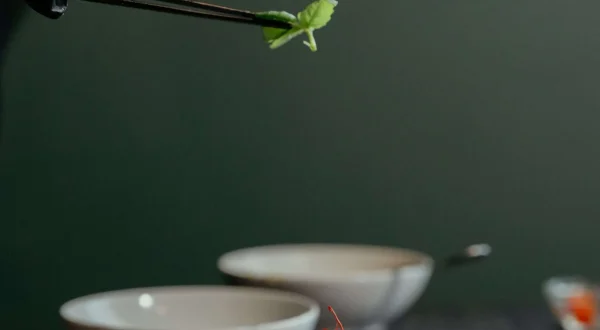 Settore Ristorazione (chef) Soluzioni IT per la ristorazione — impiattamento gourmet